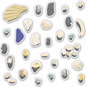 Shells and Pebbles Beach