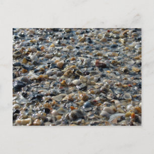 Shells and Pebbles Postcard