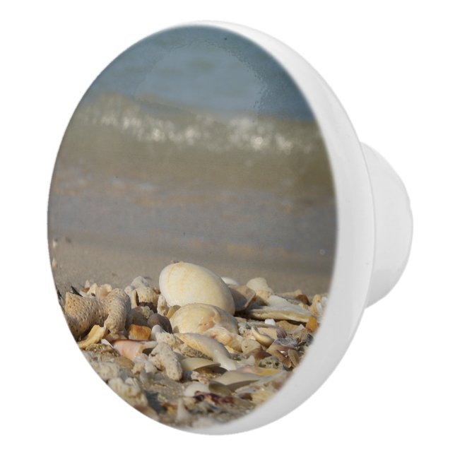 shells, beach, water, sand, sea, maritime, photo, ceramic knob (Right)
