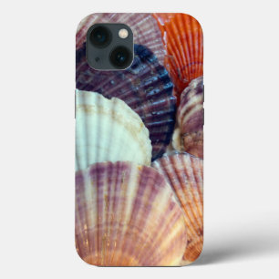 Shells Case-Mate Phone Case, Apple iPhone 13 Case