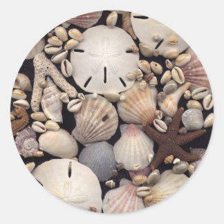 Shells Classic Round Sticker