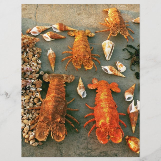 Shells Flyer (Front)