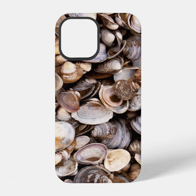 Shells in Mud iPhone Case (Back)