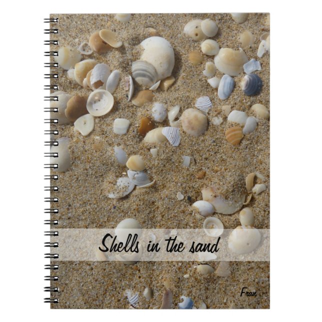 shells in the sand notebook (Front)