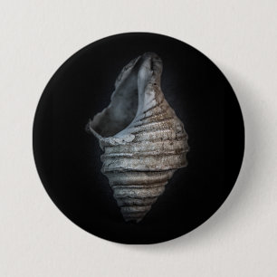 Shells No 6 Colour Version 7.5 Cm Round Badge