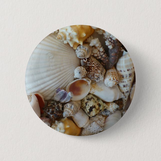 Shells Of Sanibel 6 Cm Round Badge (Front)