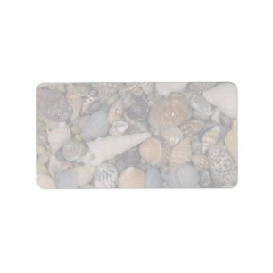 Shells of the World Shell Label