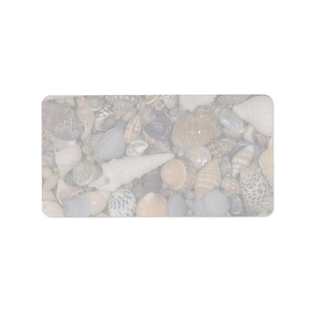 Shells of the World Shell Label (Front)