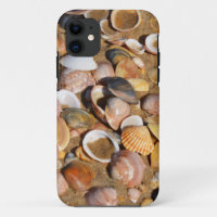 Shells On A Sandy Beach | Andalusia, Spain