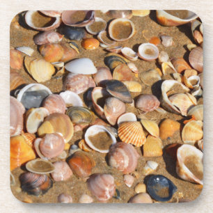 Shells On A Sandy Beach Andalusia, Spain Coaster
