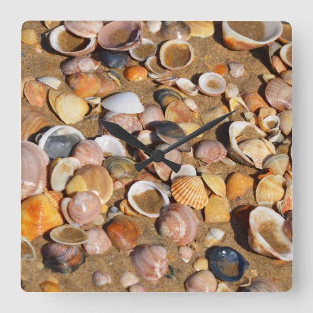 Shells On A Sandy Beach | Andalusia, Spain Square Wall Clock (Front)