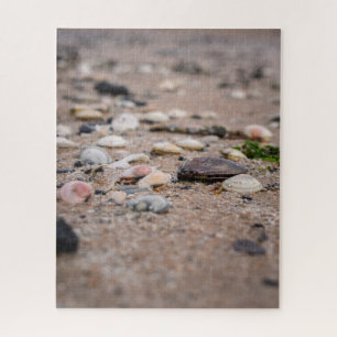 Shells on the beach puzzle