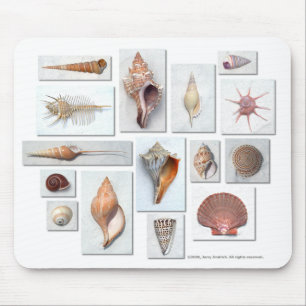 Shells on White Mouse Mat