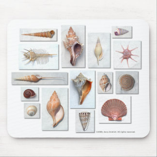 Shells on White Mouse Mat
