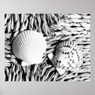 Shells Poster