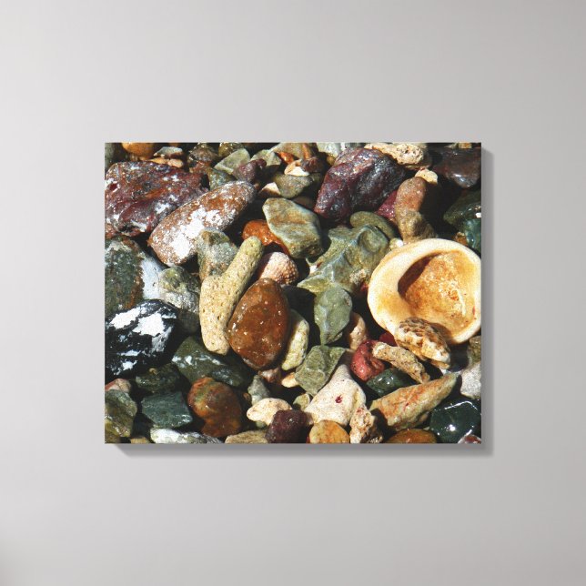 Shells, Rocks and Coral Nature Photography Canvas Print (Front)