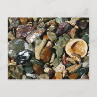 Shells, Rocks and Coral Nature Photography