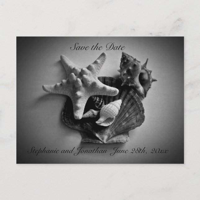 Shells Save the Date post card (Front)