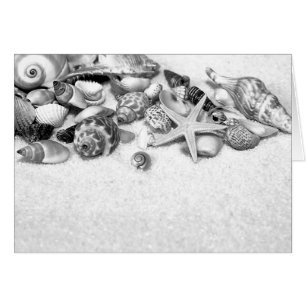 Shells & Starfish Card