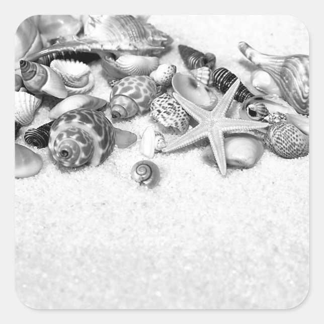 Shells & Starfish Stickers (Front)
