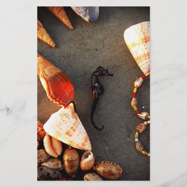 Shells Stationery (Front)