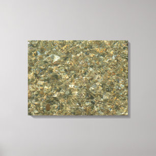 Shells Under Rippling Water Canvas Print