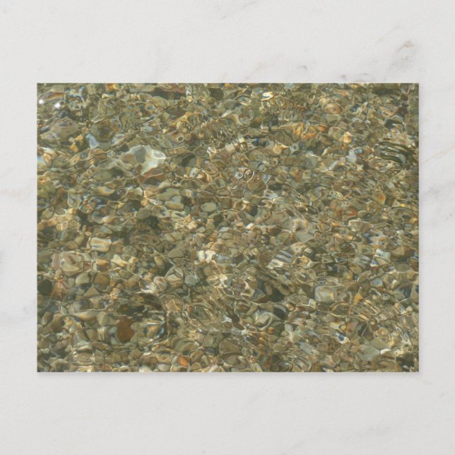 Shells Under Rippling Water Postcard (Front)