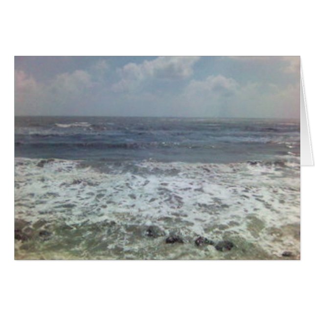 shellspima11173492-0010 (Front Horizontal)