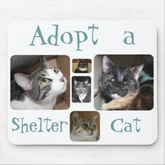 Shelter Cat Mousepad