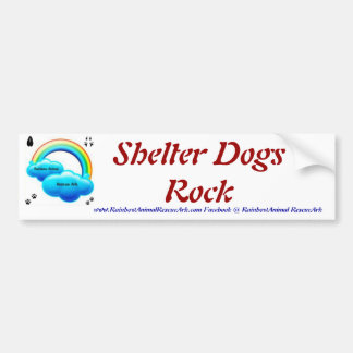 Shelter Dogs Bumper Sticker