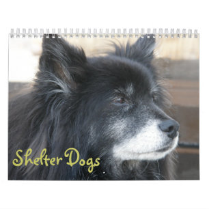 Shelter Dogs Calendar