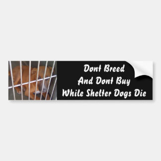 Shelter Dogs Die Bumper Sticker