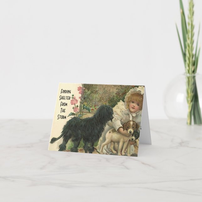 Shelter From The Storm Pet Cat Rescue Thanks Card (Front)