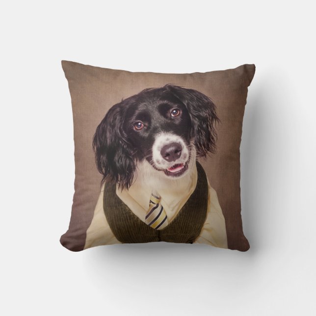 Shelter Pets Project - Cannonball Cushion (Front)