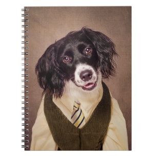 Shelter Pets Project - Cannonball Notebook