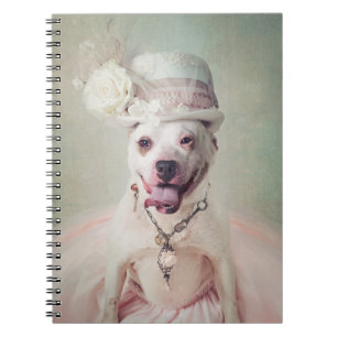 Shelter Pets Project - McKenzie Notebook
