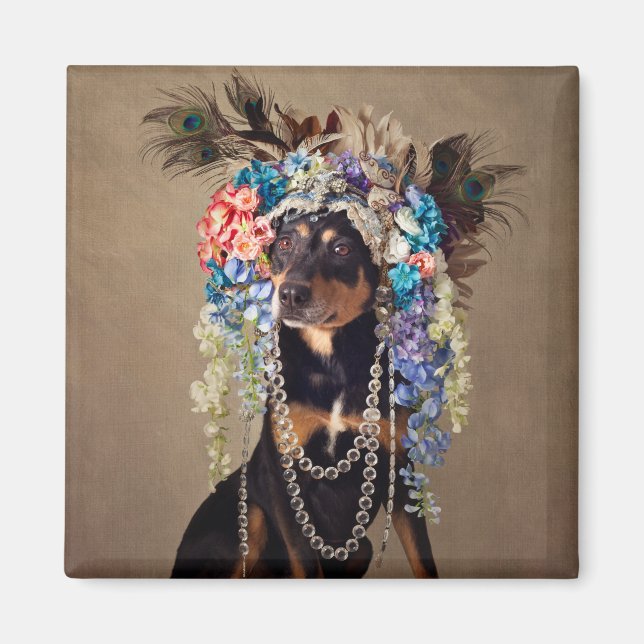 Shelter Pets Project - Midnight Magnet (Front)