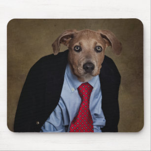 Shelter Pets Project - Mr. Burns Mouse Mat