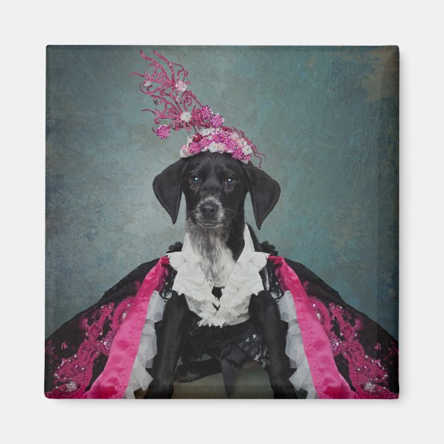 Shelter Pets Project - Pepper Magnet (Front)