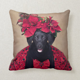 Shelter Pets Project - Twinkle Toes Cushion