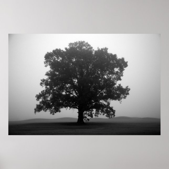 Shelter Poster (Front)