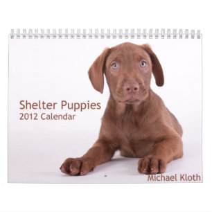 Shelter Puppies 2012 Wall Calendar