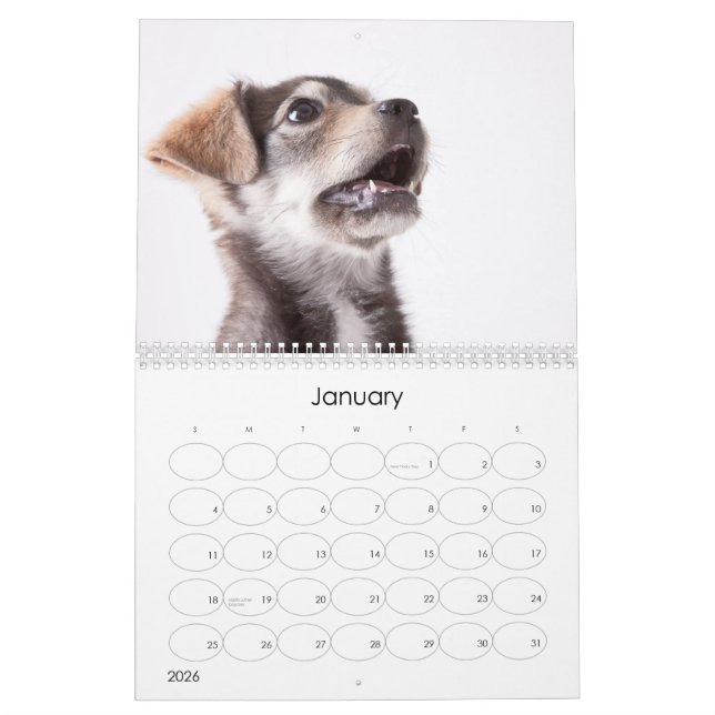 Shelter Puppies 2012 Wall Calendar (Jan 2026)