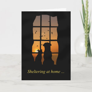 Sheltering at Home Dog and Cat Thinking of You Card