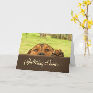 Sheltering At Home Support Card Corona Virus