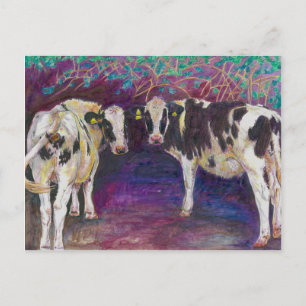 Sheltering cows 2011 postcard