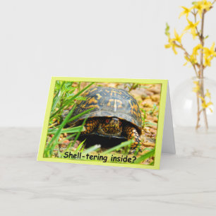 Sheltering Inside Turtle Card
