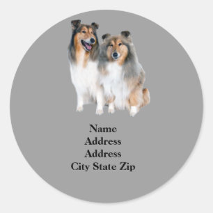 Sheltie Address Label