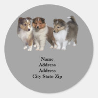 Sheltie Address Label