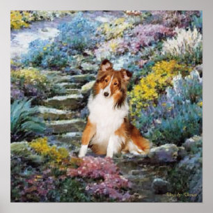 Sheltie Art Where Love Grows Poster